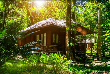 A house in the woods

Description automatically generated